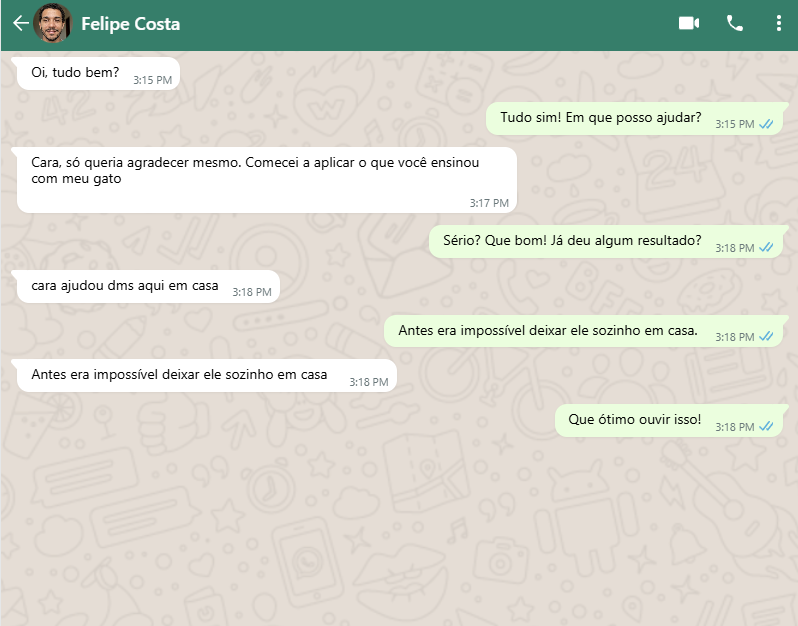 Print WhatsApp Felipe Costa